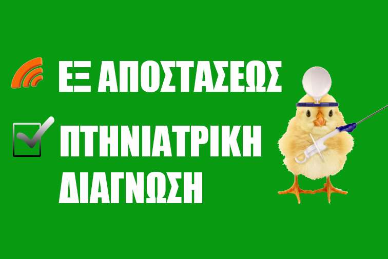 ΕΞ ΑΑΠΟΣΤΑΑΣΕΩΣ ΠΤΗΝΙΑΤΡΟΣ ΕΞ ΑΑΠΟΣΤΑΑΣΕΩΣ ΠΤΗΝΙΑΤΡΟΣ