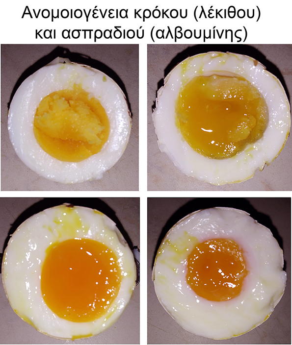 Similarity eggs_freerange
