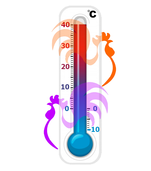Thermometer_thumb