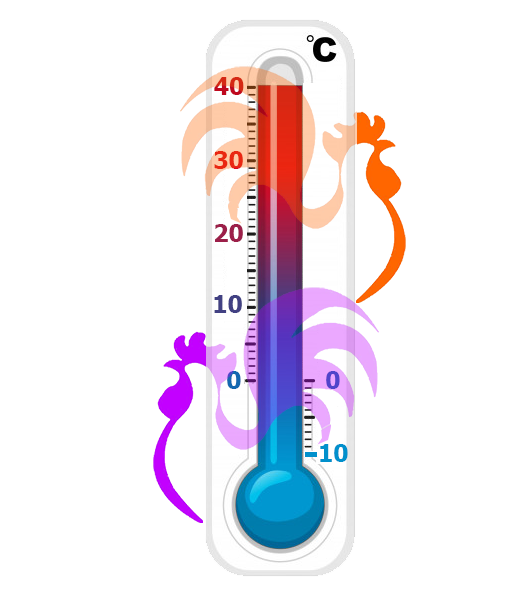 Thermometer_thumb Thermometer_thumb